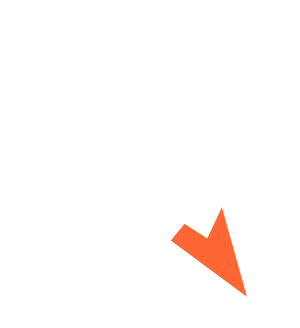 logo Vizura star