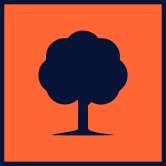 drvo icon